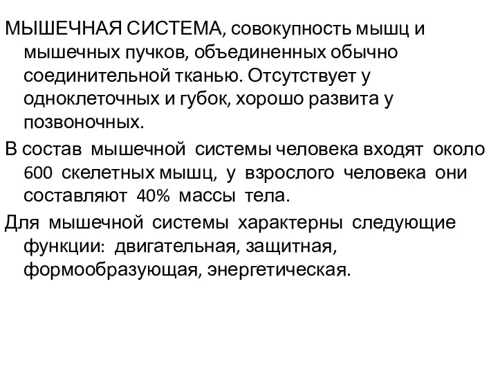 МЫШЕЧНАЯ СИСТЕМА, совокупность мышц и мышечных пучков, объединенных обычно соединительной