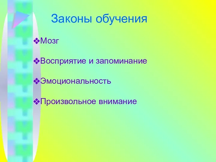 Законы обучения Мозг Восприятие и запоминание Эмоциональность Произвольное внимание