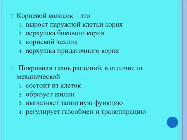 Корневой волосок – это вырост наружной клетки корня верхушка бокового