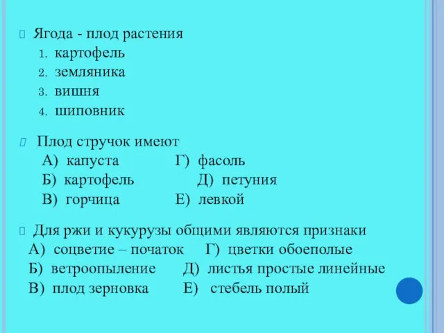 Ягода - плод растения картофель земляника вишня шиповник Плод стручок