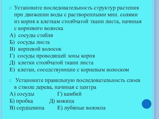 Установите последовательность структур растения при движении воды с растворенными мин.