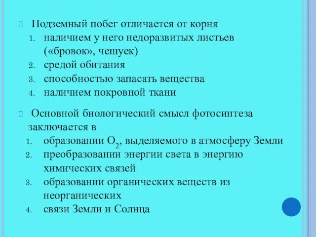 Подземный побег отличается от корня наличием у него недоразвитых листьев