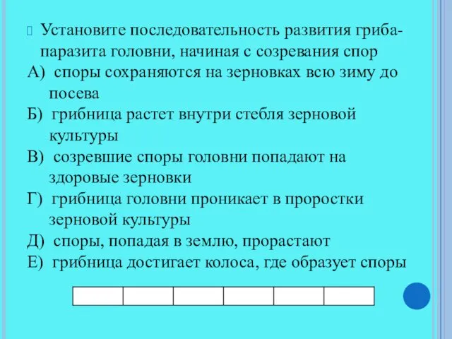 Установите последовательность развития гриба-паразита головни, начиная с созревания спор А)