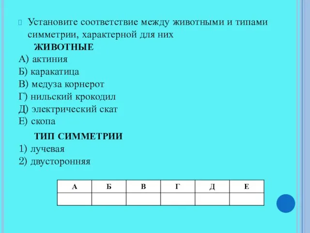 Установите соответствие между животными и типами симметрии, характерной для них