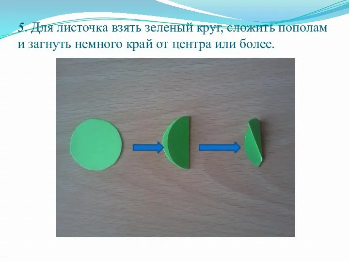 5. Для листочка взять зеленый круг, сложить пополам и загнуть немного край от центра или более.