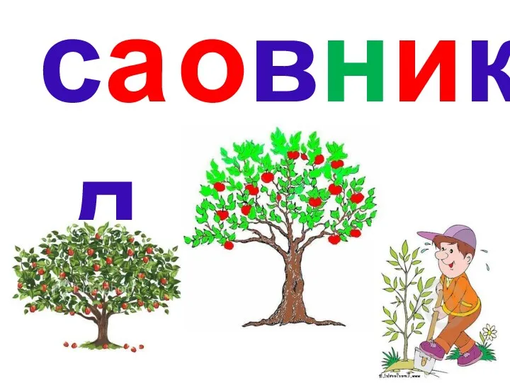 сад овник