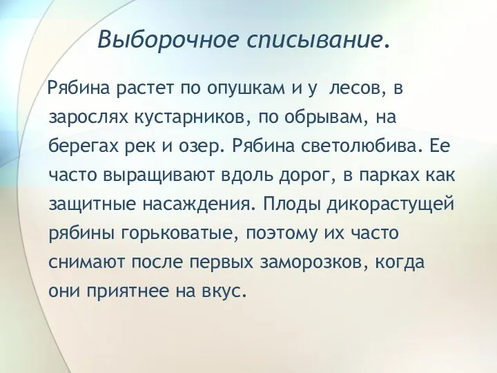 Выборочное списывание. Рябина растет по опушкам и у лесов, в