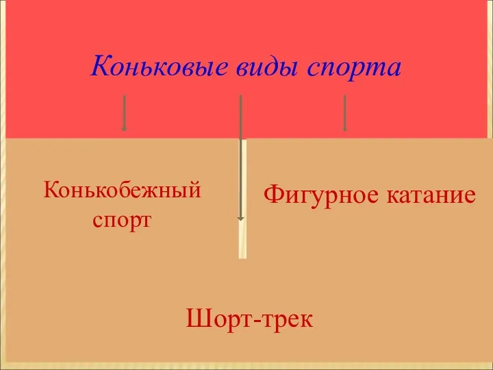 Коньковые виды спорта Конькобежный спорт Фигурное катание Шорт-трек