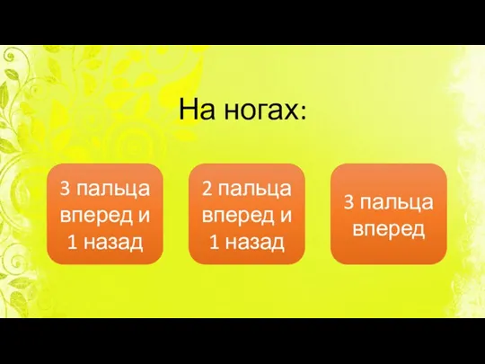 На ногах: 3 пальца вперед и 1 назад 3 пальца вперед 2 пальца