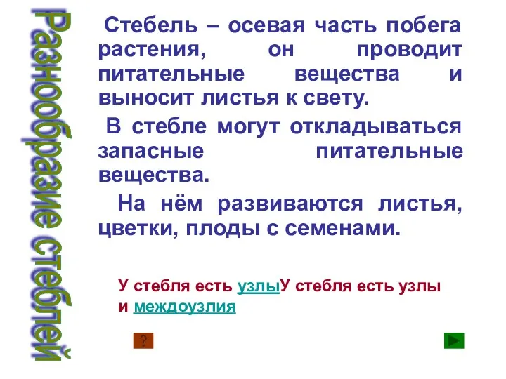 Стебель – осевая часть побега растения, он проводит питательные вещества и выносит листья