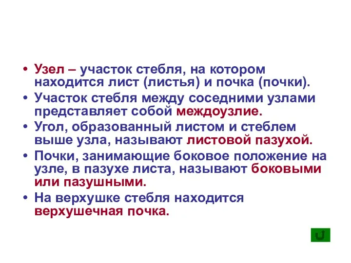 Узел – участок стебля, на котором находится лист (листья) и почка (почки). Участок