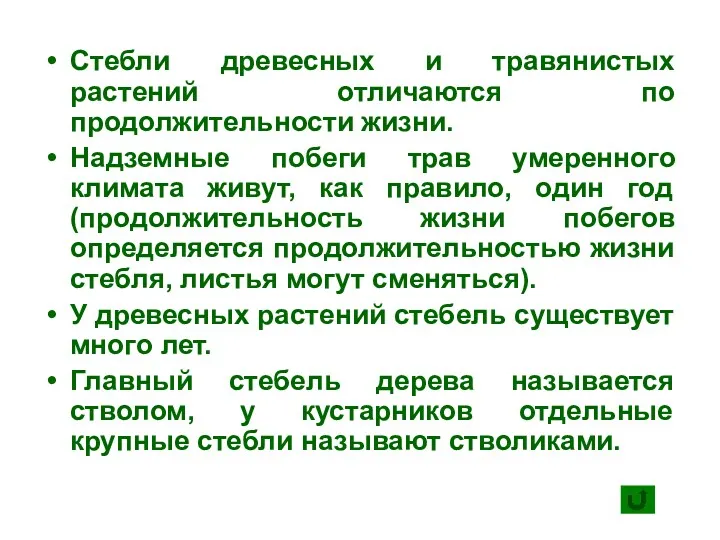 Стебли древесных и травянистых растений отличаются по продолжительности жизни. Надземные побеги трав умеренного