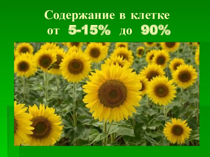 Содержание в клетке от 5-15% до 90%