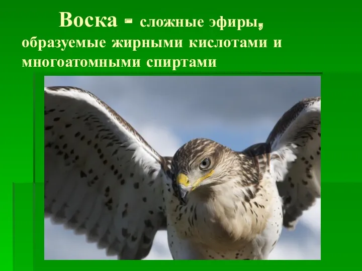 Воска - сложные эфиры, образуемые жирными кислотами и многоатомными спиртами