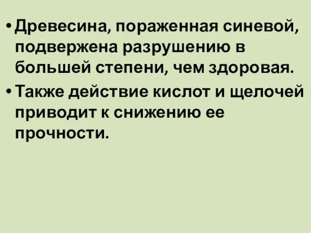 Древесина, пораженная синевой, подвержена разрушению в большей степени, чем здоровая.