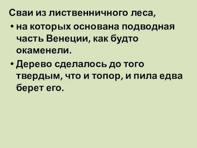 Сваи из лиственничного леса, на которых основана подводная часть Венеции,