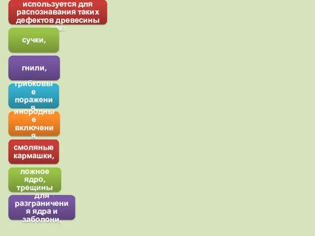 Эта технология используется для распознавания таких дефектов древесины как: сучки,