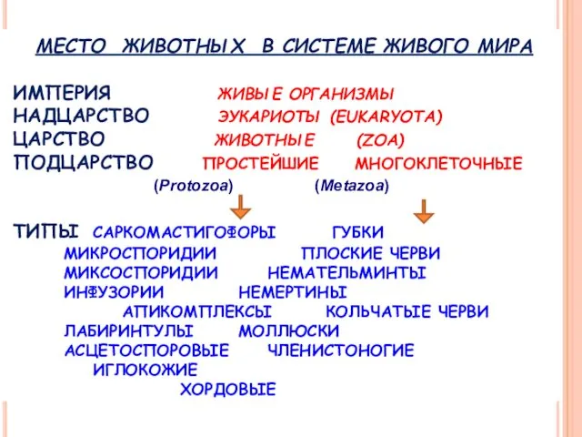 МЕСТО ЖИВОТНЫХ В СИСТЕМЕ ЖИВОГО МИРА ИМПЕРИЯ ЖИВЫЕ ОРГАНИЗМЫ НАДЦАРСТВО