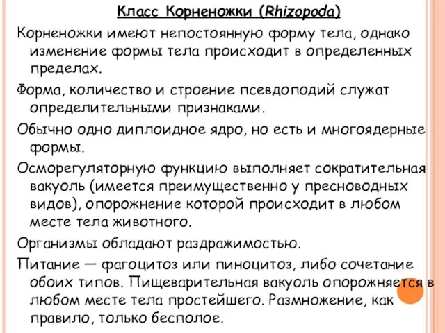 Класс Корненожки (Rhizopoda) Корненожки имеют непостоянную форму тела, однако изменение