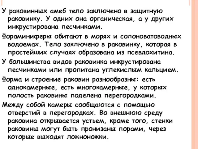 У раковинных амеб тело заключено в защитную раковинку. У одних