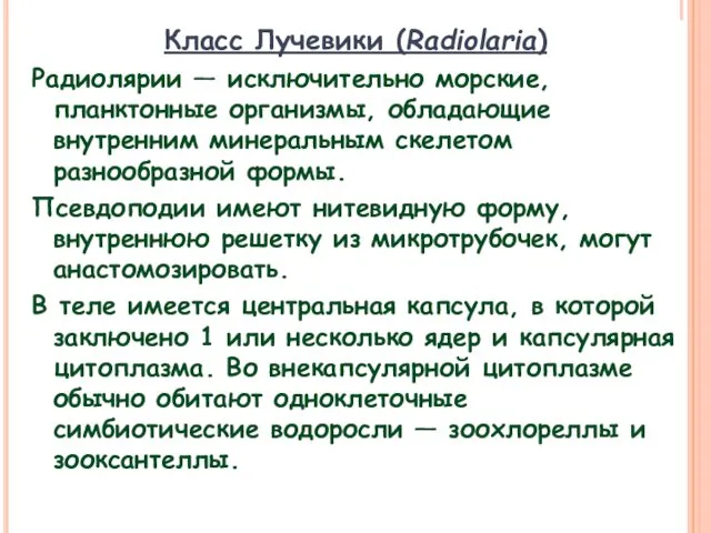 Класс Лучевики (Radiolaria) Радиолярии — исключительно морские, планктонные организмы, обладающие