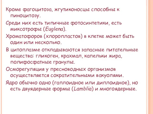 Кроме фагоцитоза, жгутиконосцы способны к пиноцитозу. Среди них есть типичные