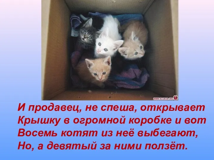 И продавец, не спеша, открывает Крышку в огромной коробке и вот Восемь котят