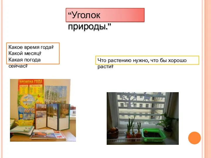 “Уголок природы.” Какое время года? Какой месяц? Какая погода сейчас?