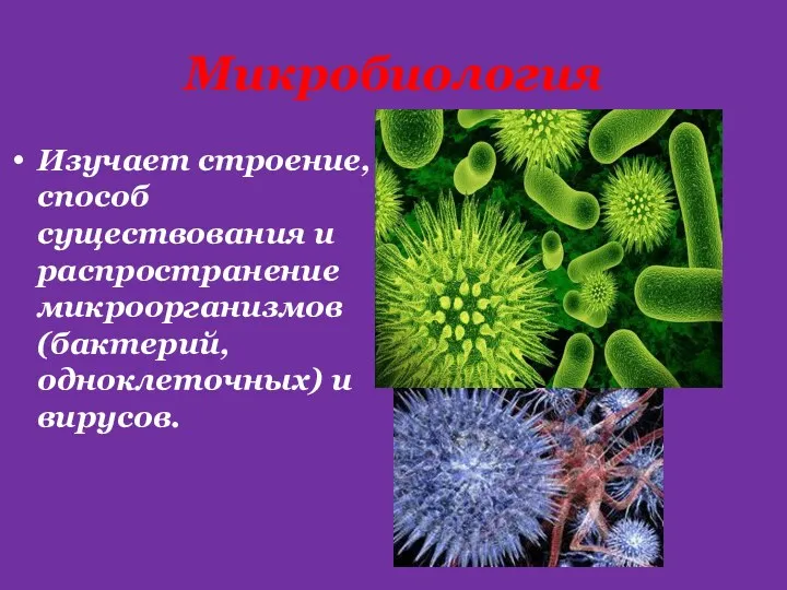 Микробиология Изучает строение, способ существования и распространение микроорганизмов (бактерий, одноклеточных) и вирусов.