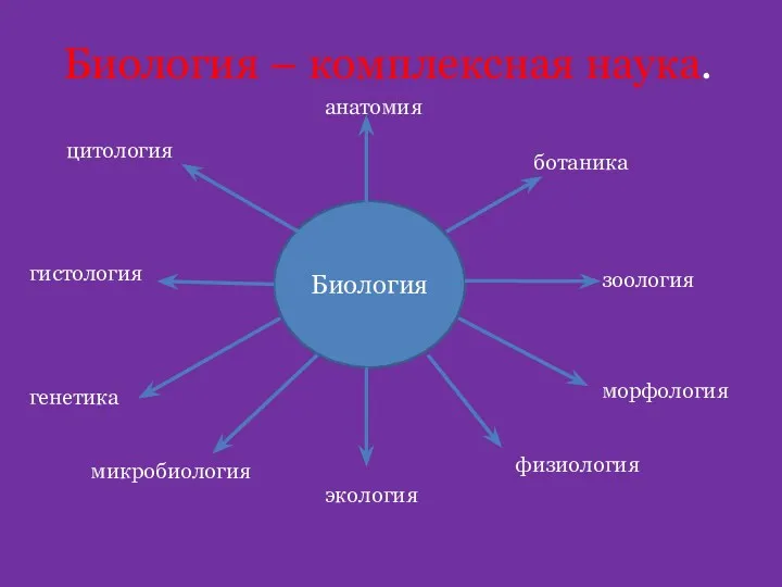 Биология – комплексная наука. Биология ботаника зоология морфология физиология анатомия цитология гистология генетика микробиология экология