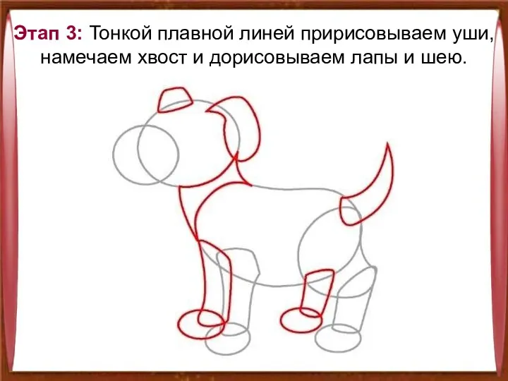 Этап 3: Тонкой плавной линей пририсовываем уши, намечаем хвост и дорисовываем лапы и шею.