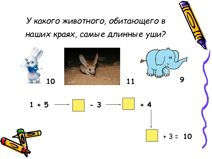 У какого животного, обитающего в наших краях, самые длинные уши?