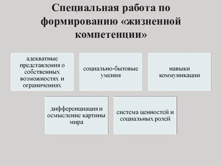 Специальная работа по формированию «жизненной компетенции»