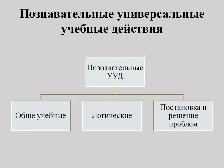 Познавательные универсальные учебные действия