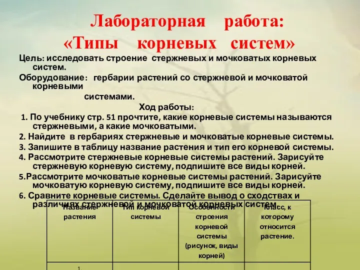 Цель: исследовать строение стержневых и мочковатых корневых систем. Оборудование: гербарии растений со стержневой