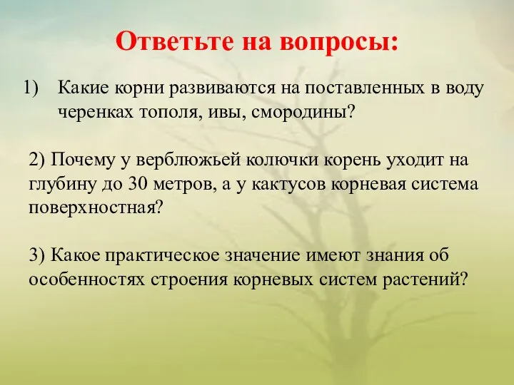 Ответьте на вопросы: Какие корни развиваются на поставленных в воду черенках тополя, ивы,