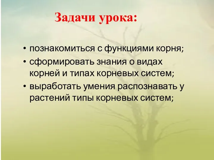 Задачи урока: познакомиться с функциями корня; сформировать знания о видах