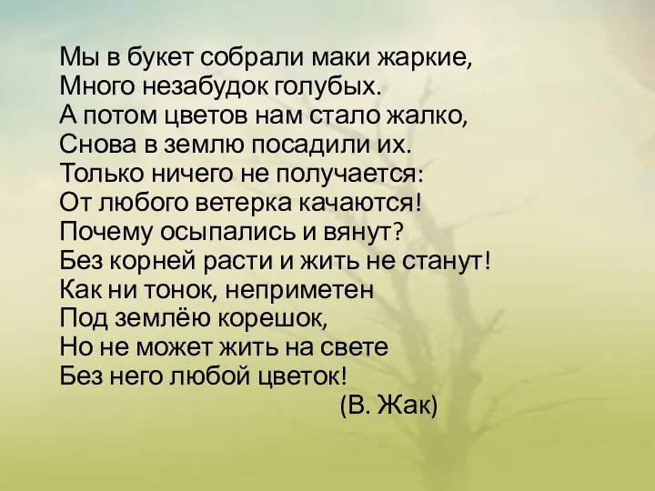 Мы в букет собрали маки жаркие, Много незабудок голубых. А потом цветов нам