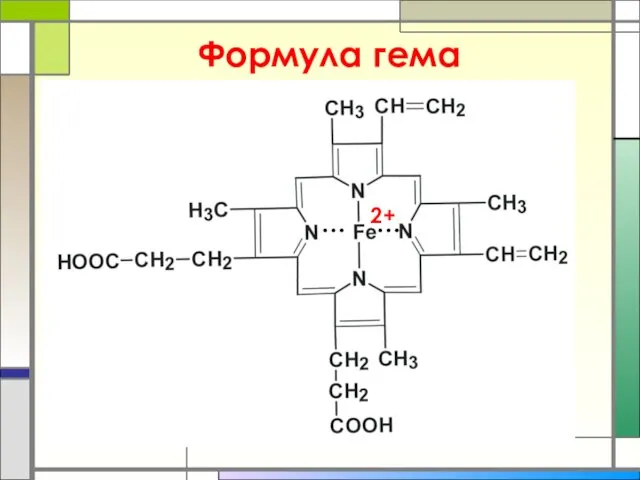 Формула гема 2+ … …