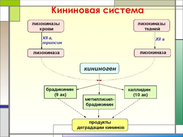 Кининовая система