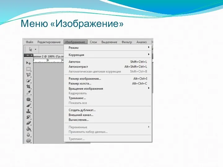 Меню «Изображение»