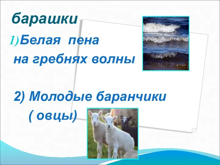 барашки Белая пена на гребнях волны 2) Молодые баранчики ( овцы)