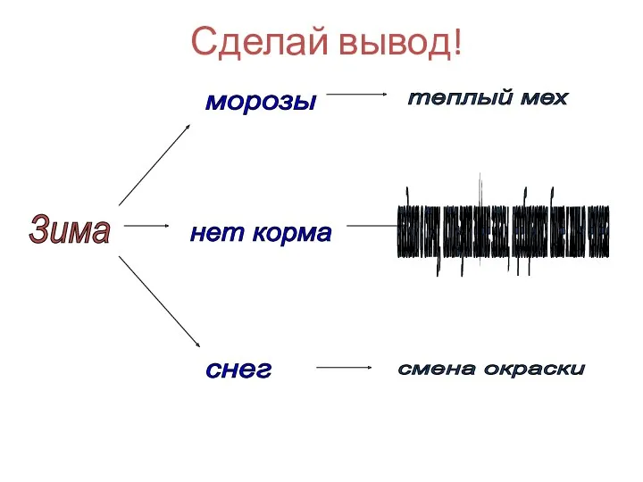 Сделай вывод! Зима морозы нет корма снег теплый мех впадают в спячку, используют