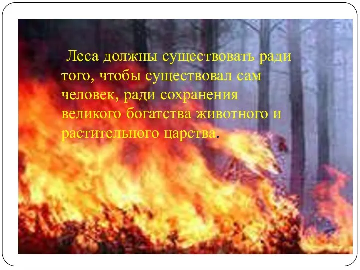 . Леса должны существовать ради того, чтобы существовал сам человек, ради сохранения великого