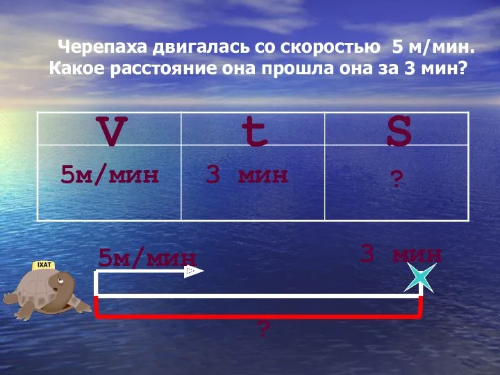 Черепаха двигалась со скоростью 5 м/мин. Какое расстояние она прошла она за 3