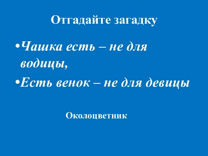 Отгадайте загадку Чашка есть – не для водицы, Есть венок – не для девицы Околоцветник