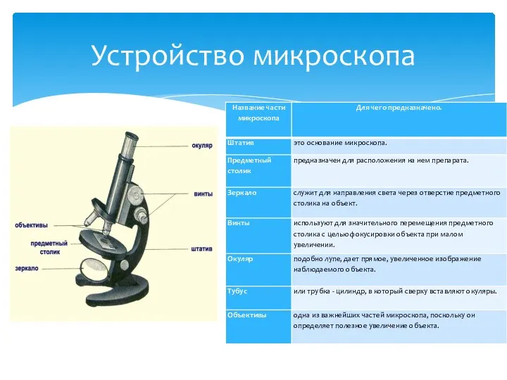 Устройство микроскопа