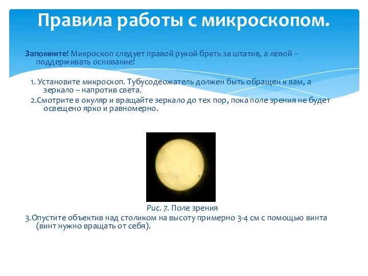 Запомните! Микроскоп следует правой рукой брать за штатив, а левой