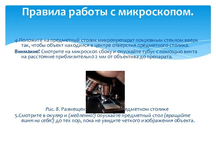 4.Положите на предметный столик микропрепарат покровным стеклом вверх так, чтобы