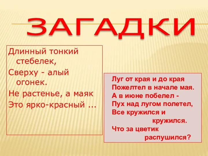 ЗАГАДКИ Длинный тонкий стебелек, Сверху - алый огонек. Не растенье, а маяк Это